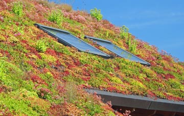 Street Lydan living roof systems