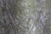 Street Lydan fibreglass roof work